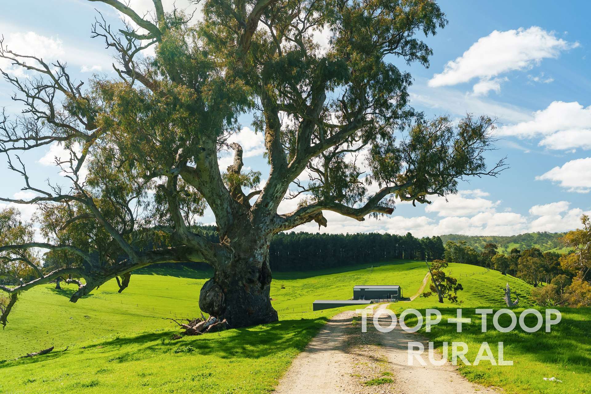 109 Springton Road, Williamstown For Sale by Farmbuy.com - image 28