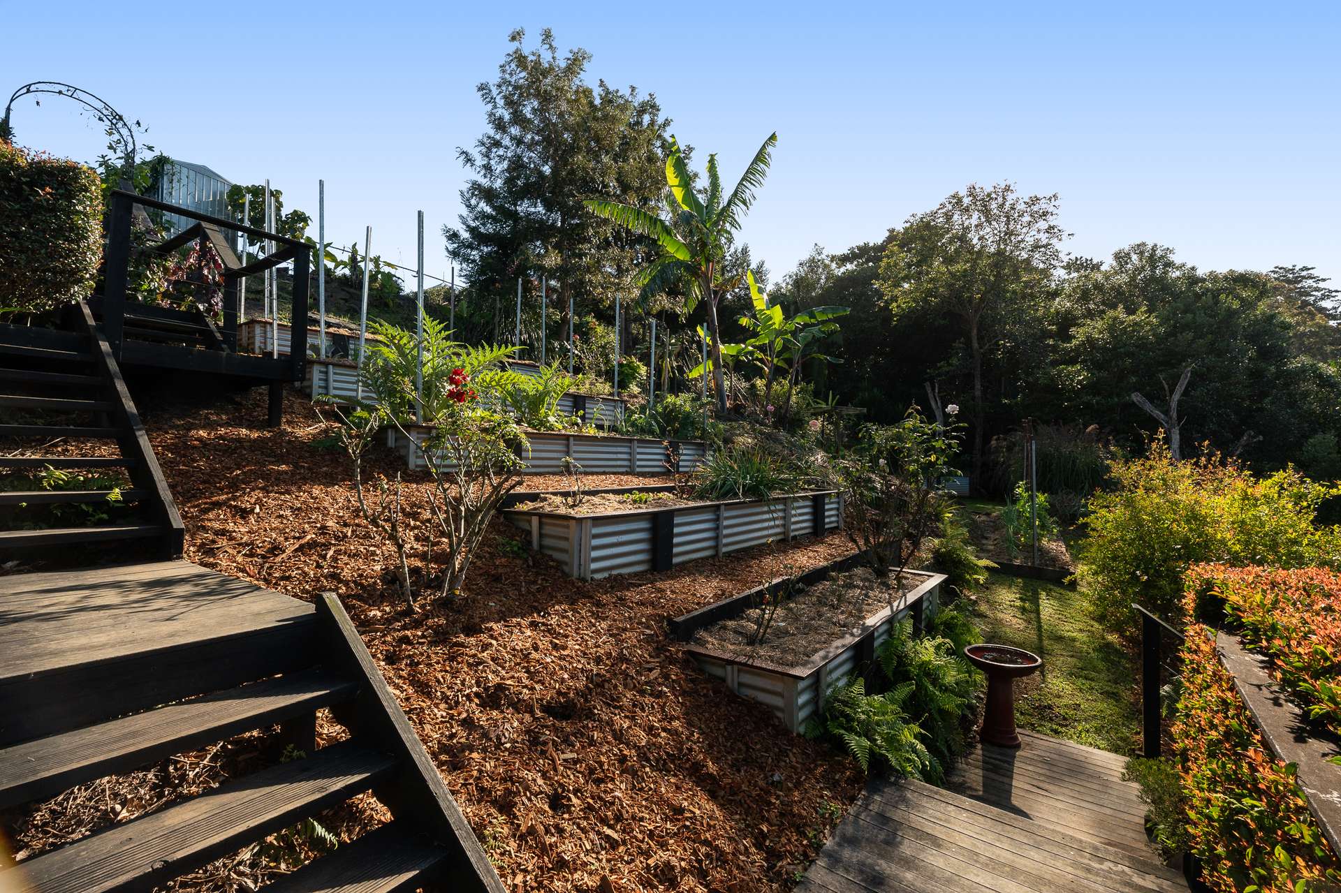 524 To 532 Eumundi Range Road, Eumundi For Sale by Farmbuy.com - image 23
