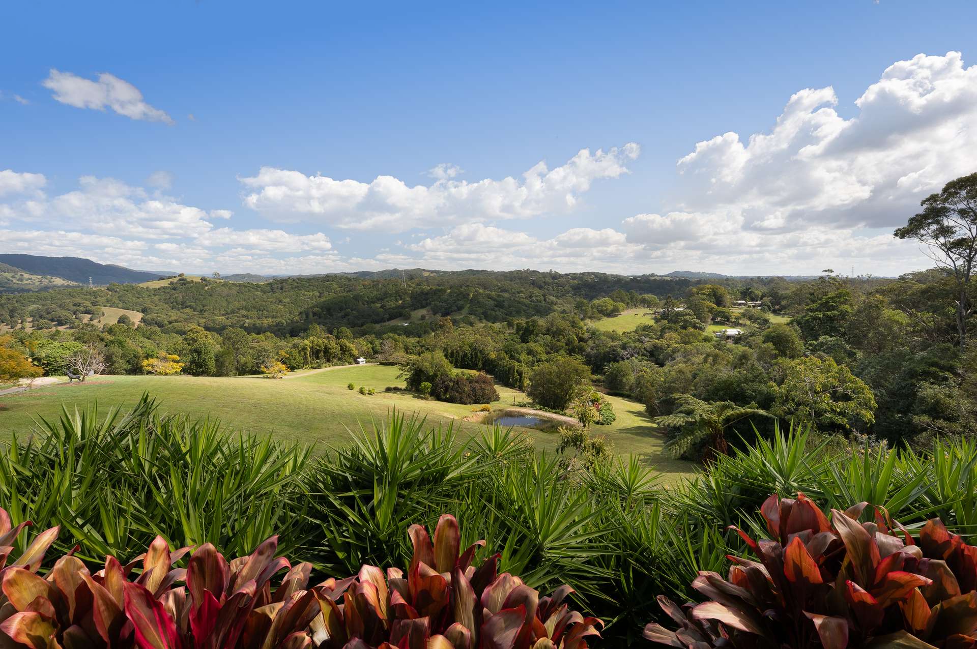 524 To 532 Eumundi Range Road, Eumundi For Sale by Farmbuy.com - image 18