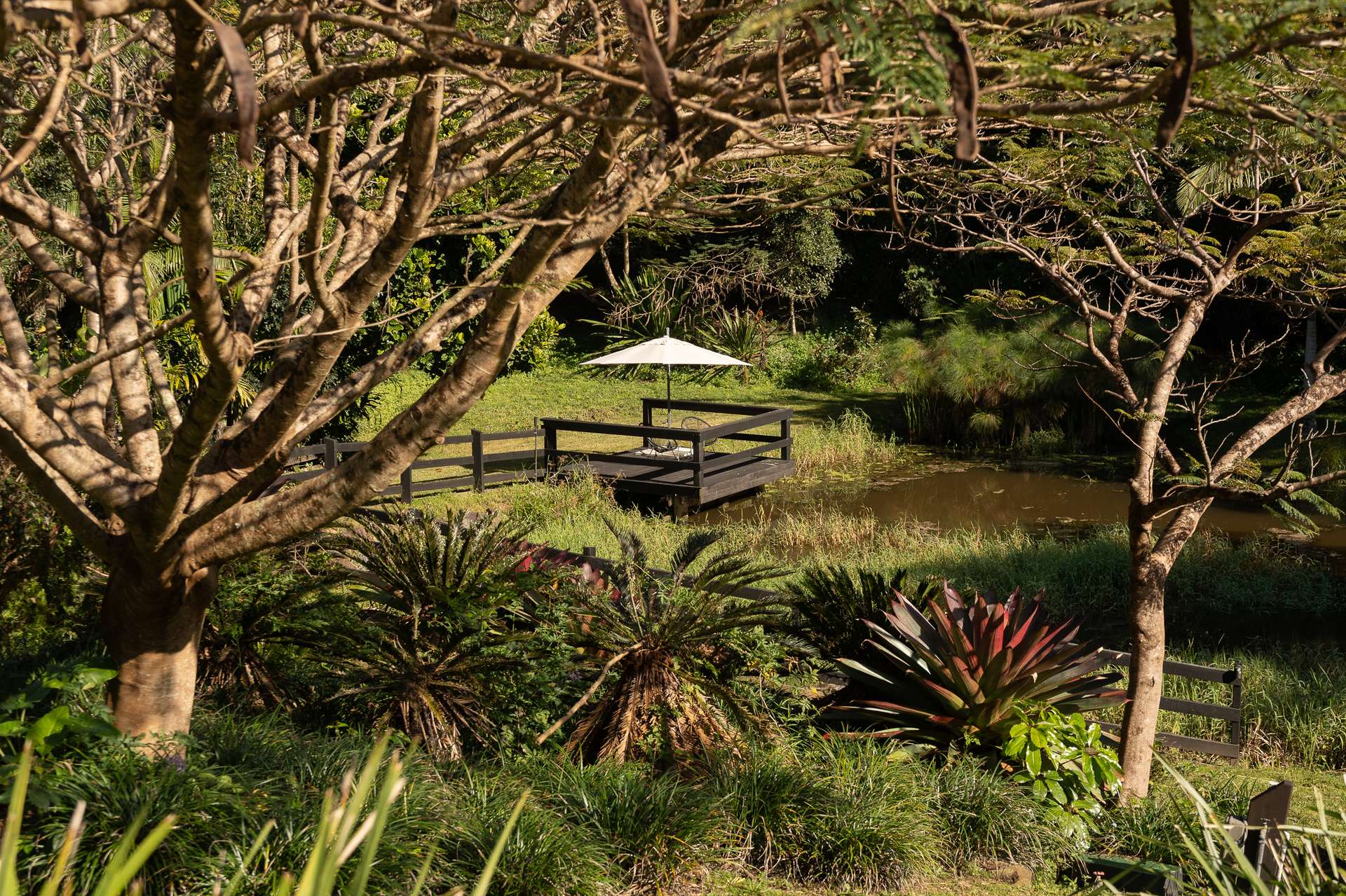 524 To 532 Eumundi Range Road, Eumundi For Sale by Farmbuy.com - image 26