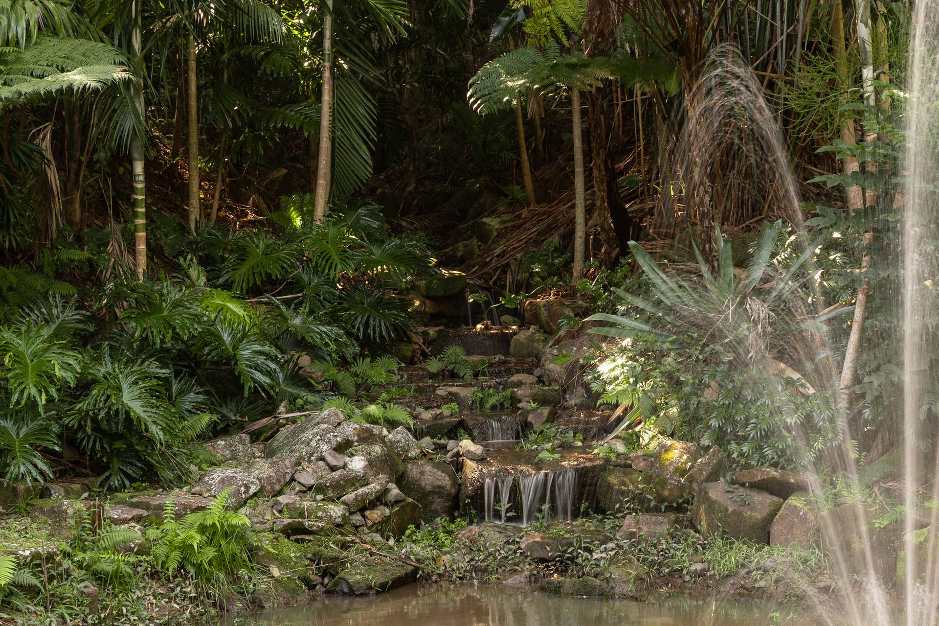524 To 532 Eumundi Range Road, Eumundi For Sale by Farmbuy.com - image 31