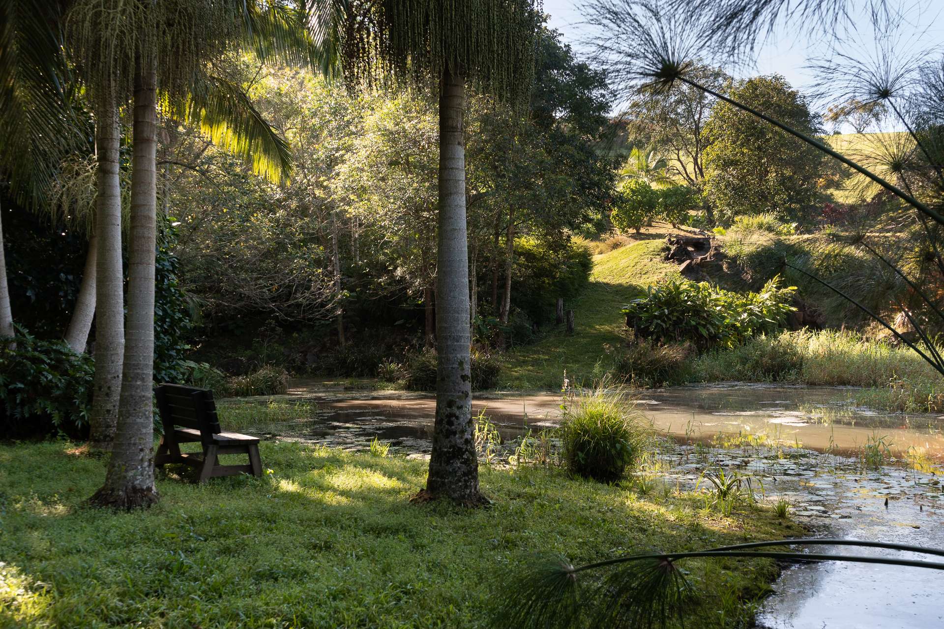 524 To 532 Eumundi Range Road, Eumundi For Sale by Farmbuy.com - image 28
