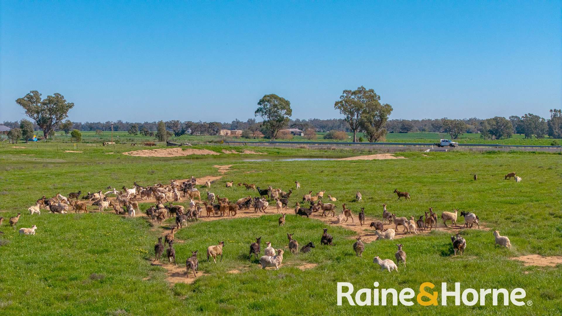 169L Narromine Road, Dubbo For Sale by Farmbuy.com - image 12