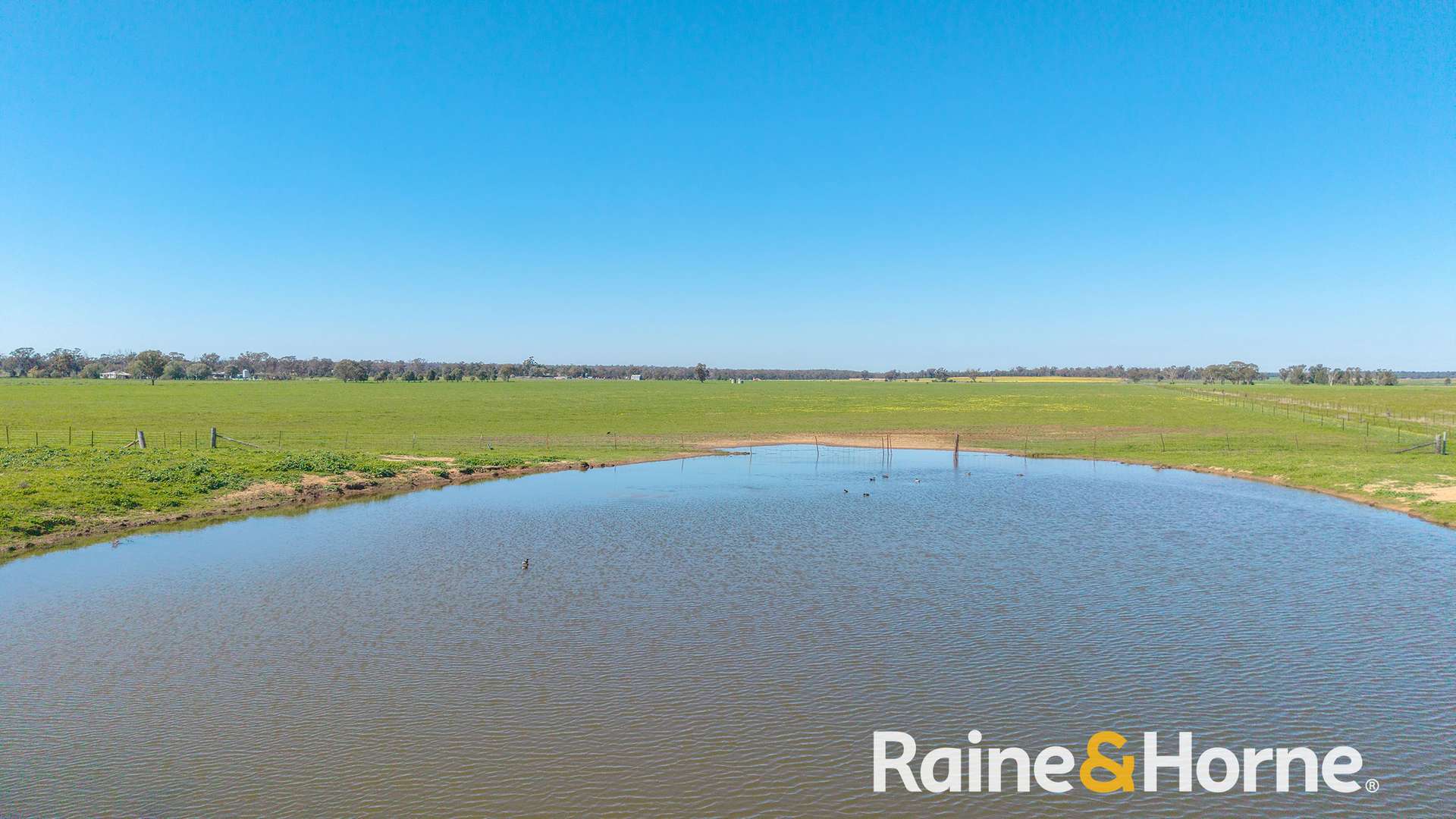 169L Narromine Road, Dubbo For Sale by Farmbuy.com - image 15