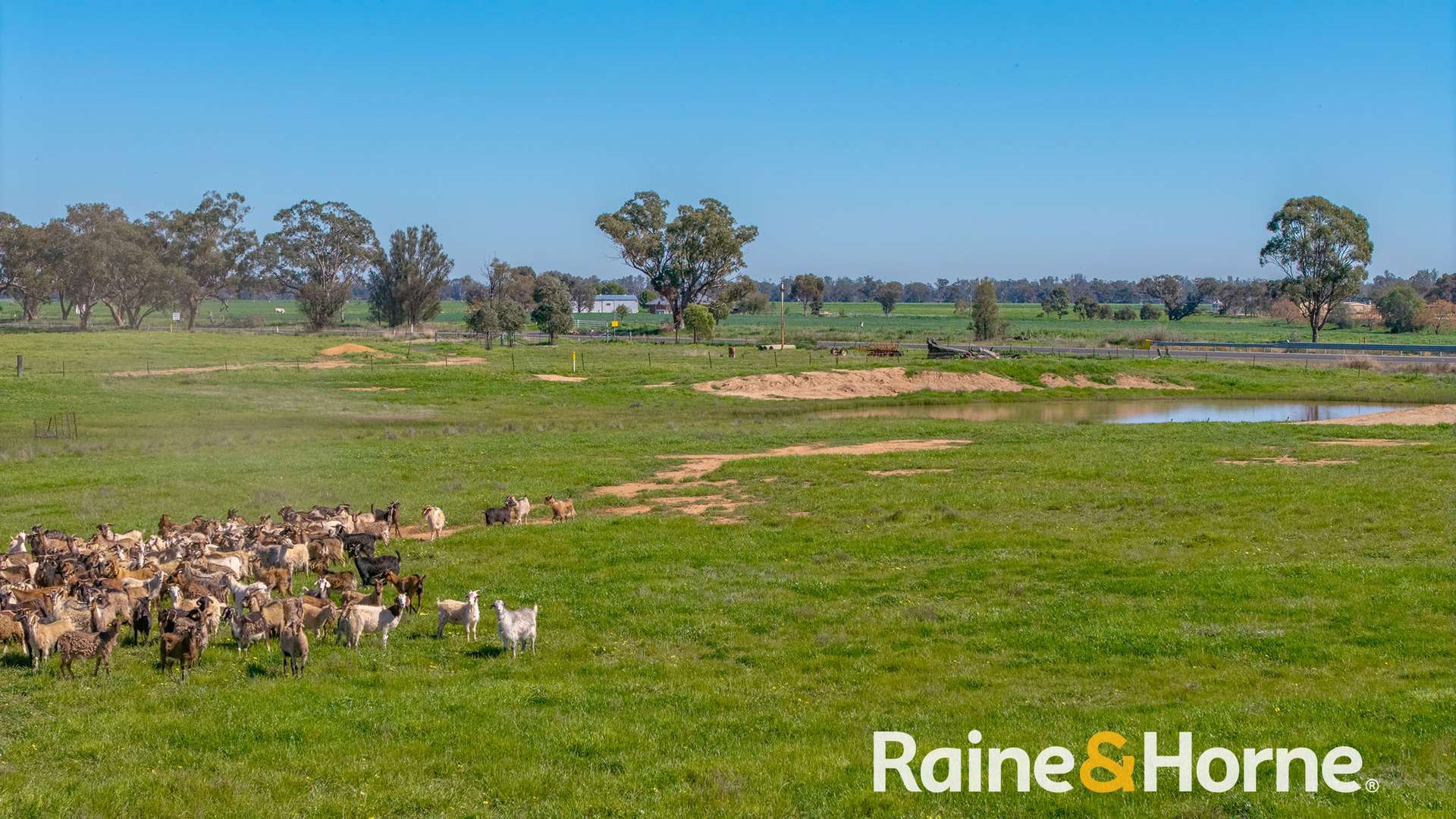 169L Narromine Road, Dubbo For Sale by Farmbuy.com - image 13