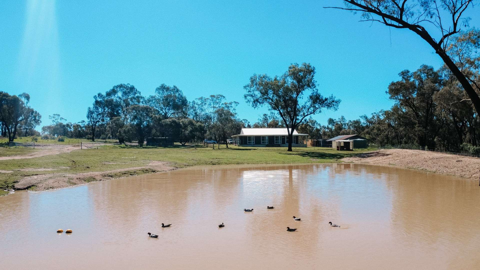 51L Minore Road, Dubbo For Sale by Farmbuy.com - image 1
