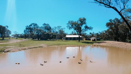 Farm For Sale - NSW - Dubbo - 2830 - "Wonderly" 50 Acres on Dubbo's Fringes! 