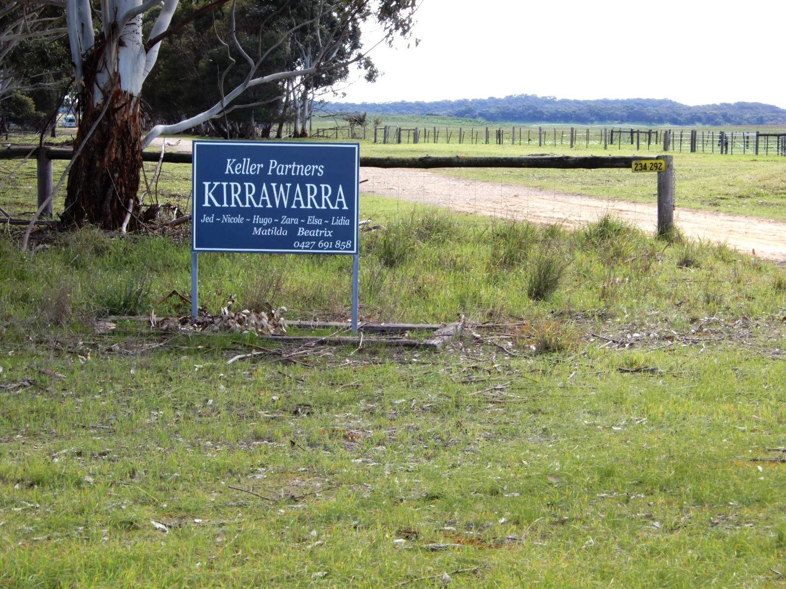 178 Homestead Road, Tintinara For Sale by Farmbuy.com - image 26