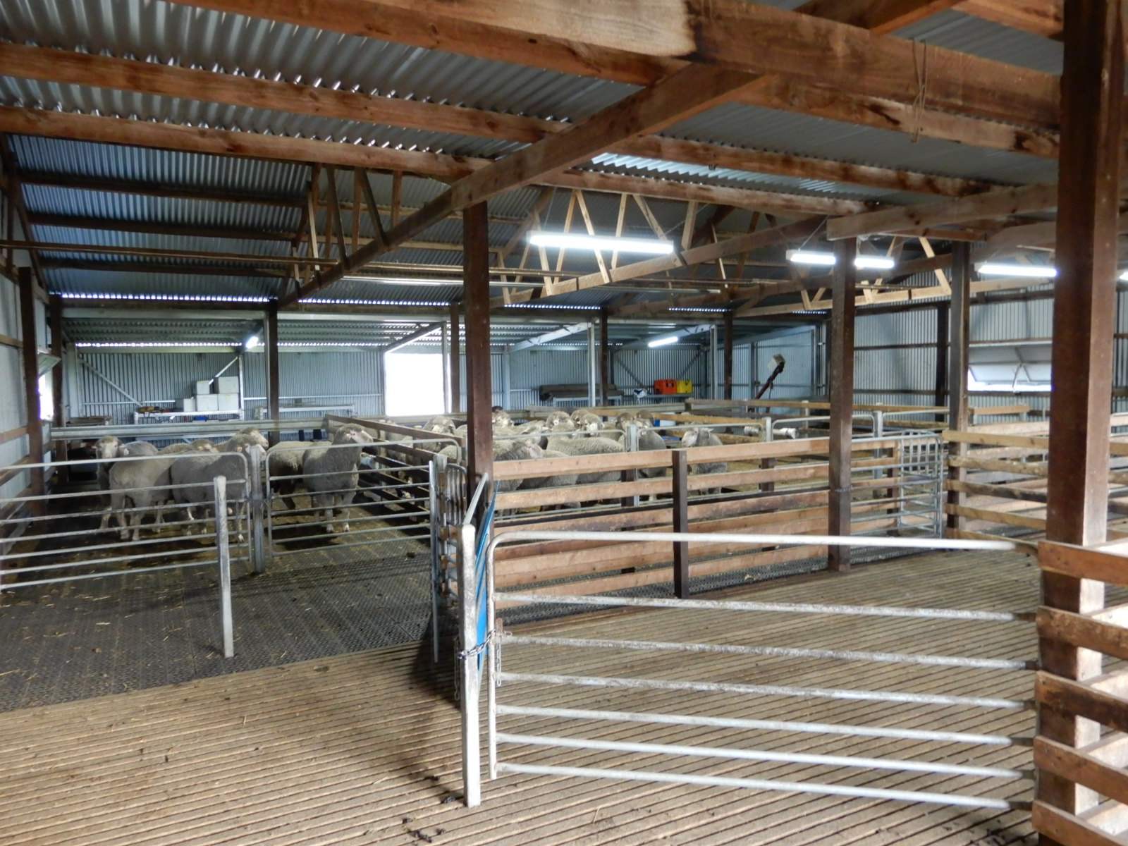 178 Homestead Road, Tintinara For Sale by Farmbuy.com - image 11