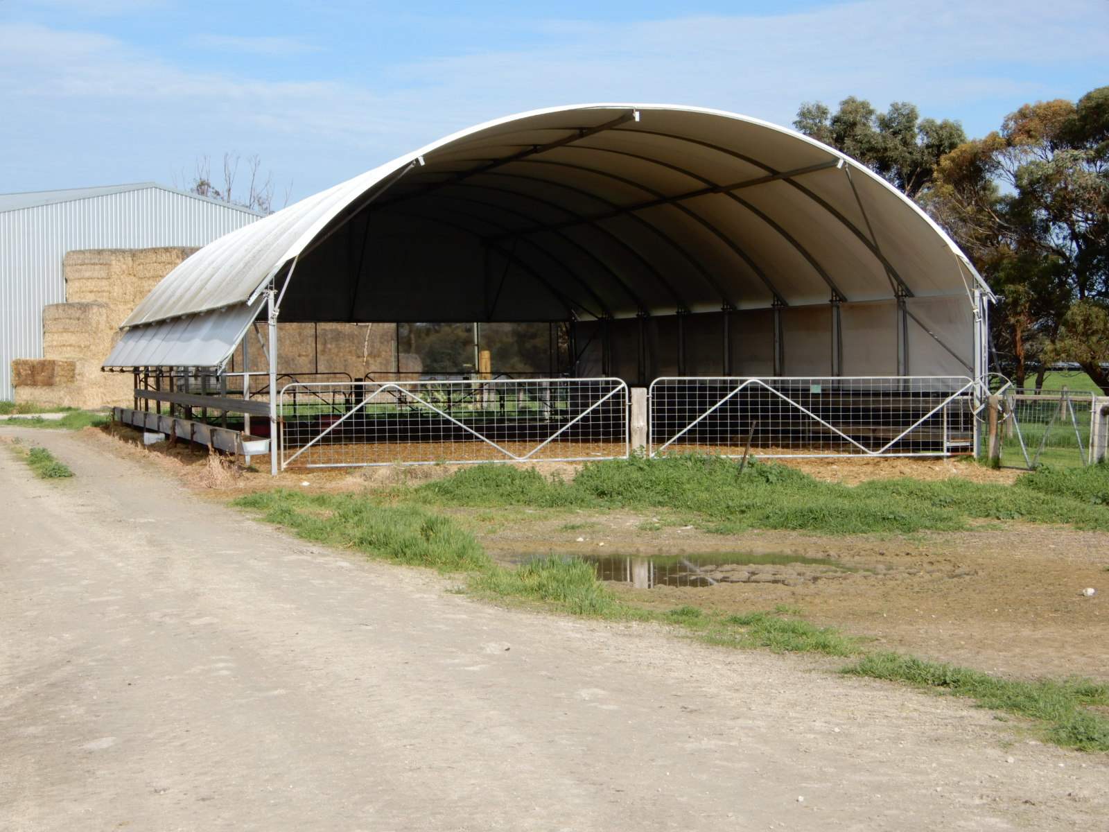 178 Homestead Road, Tintinara For Sale by Farmbuy.com - image 8