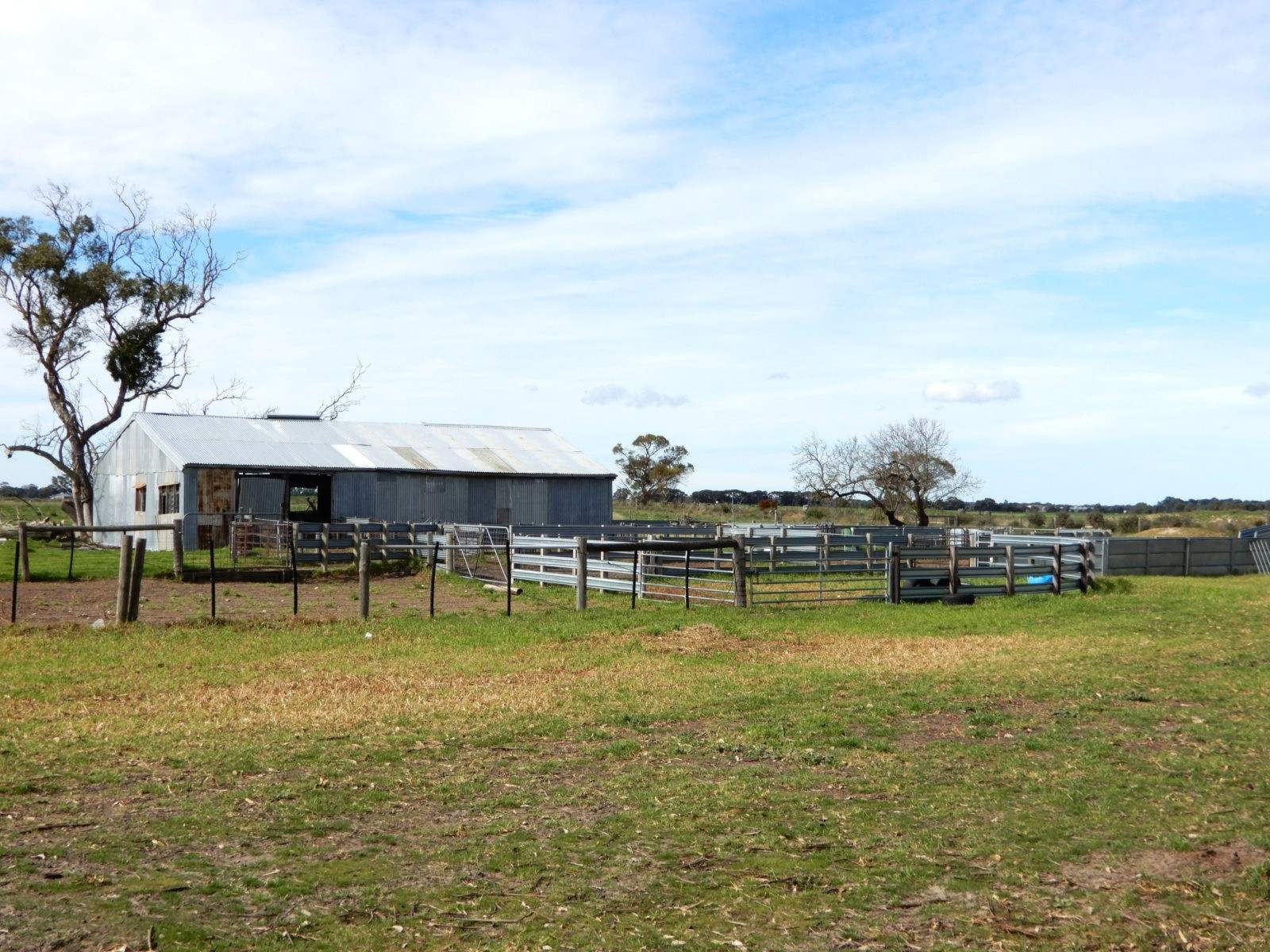 178 Homestead Road, Tintinara For Sale by Farmbuy.com - image 19
