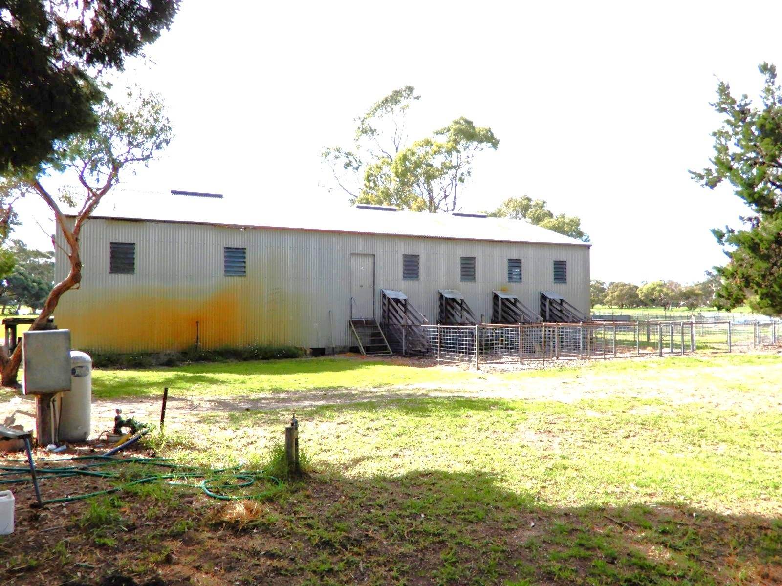 307 Emu Springs Road, Tintinara For Sale by Farmbuy.com - image 11