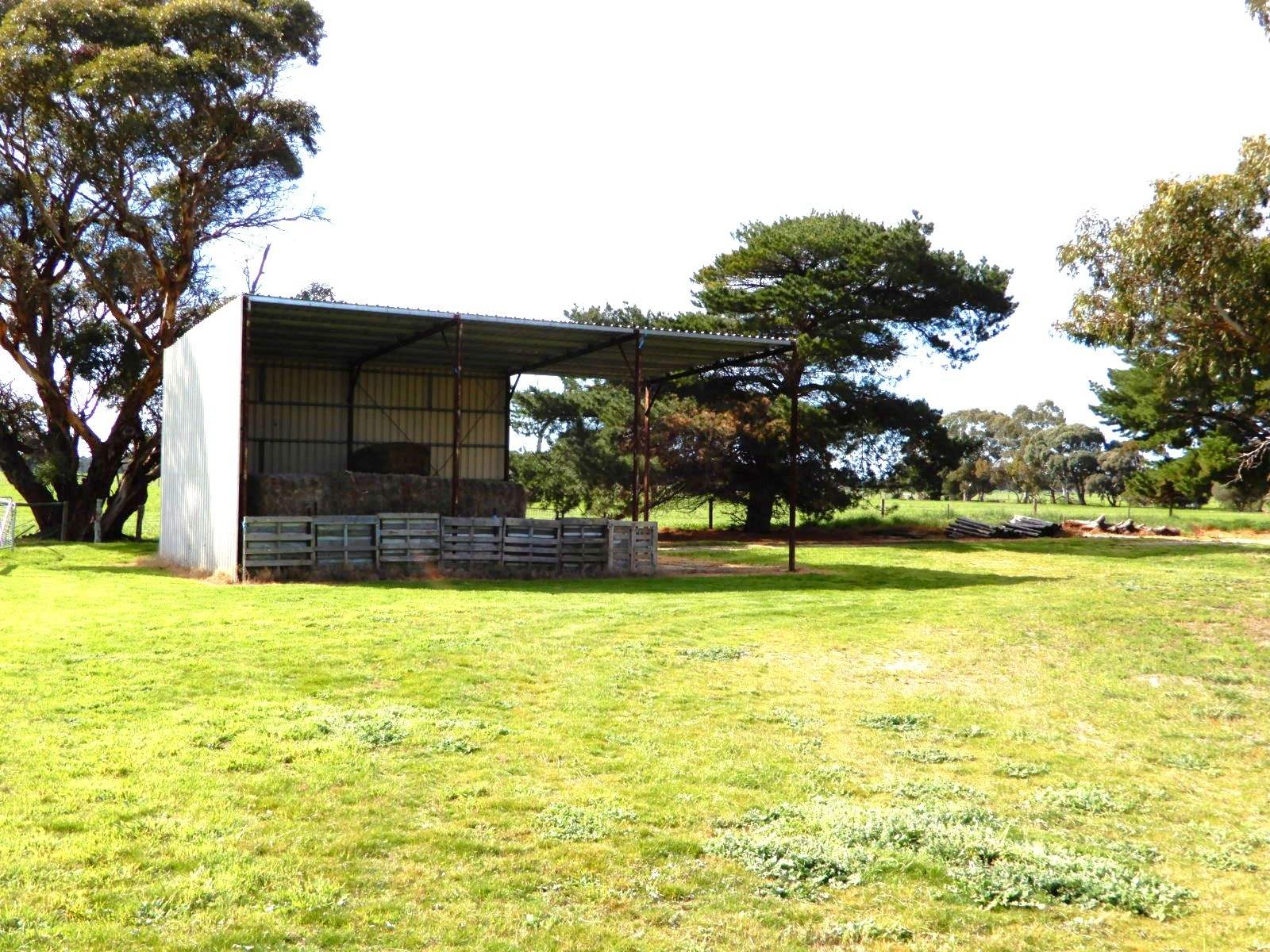 307 Emu Springs Road, Tintinara For Sale by Farmbuy.com - image 10