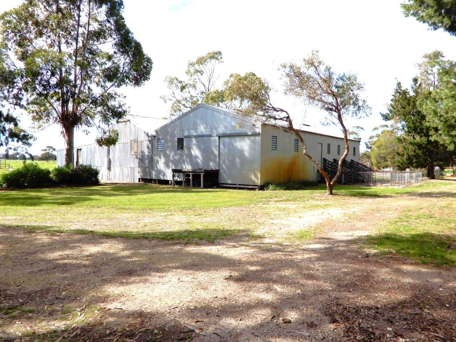 307 Emu Springs Road, Tintinara For Sale by Farmbuy.com - image 12
