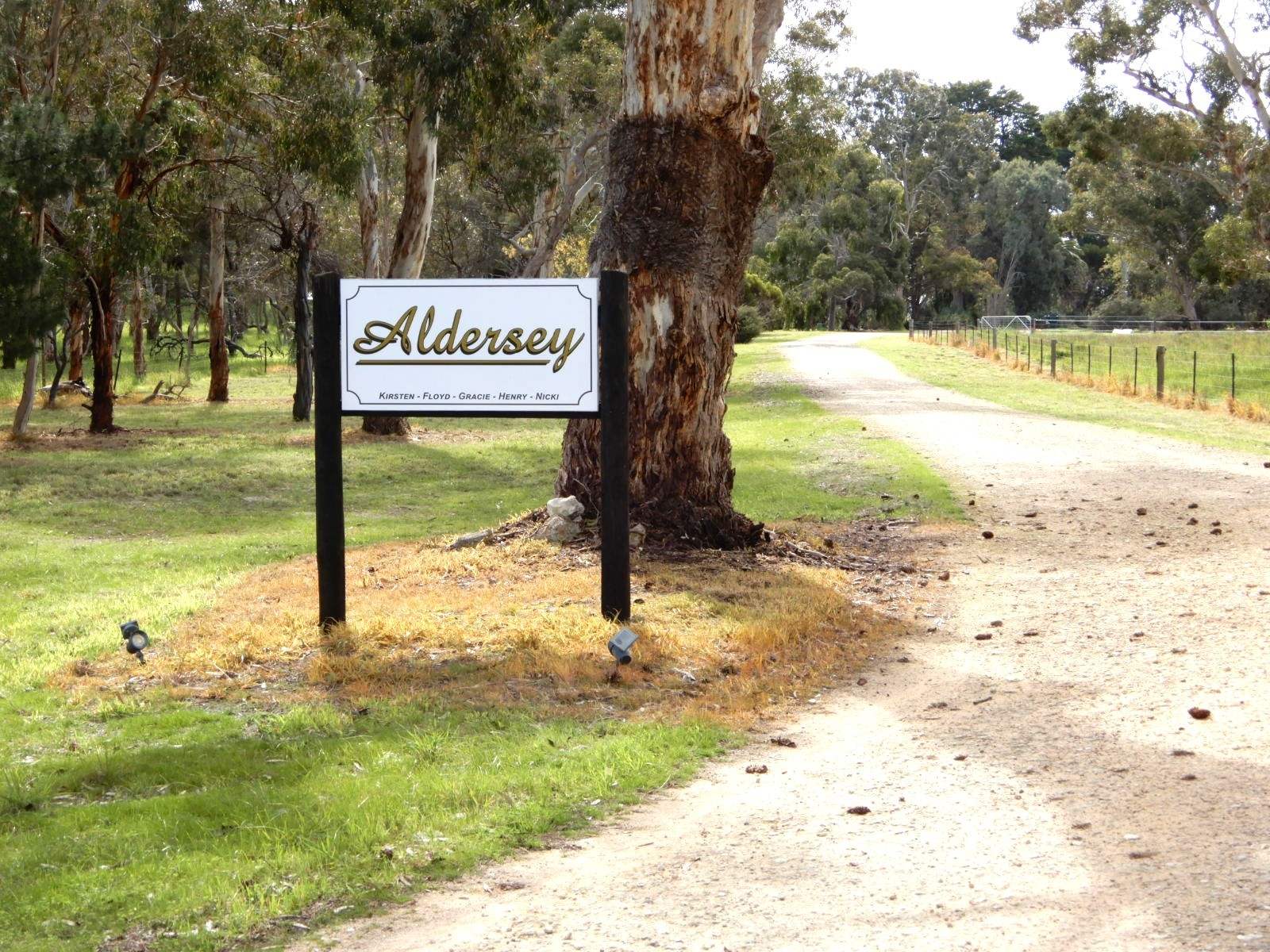 307 Emu Springs Road, Tintinara For Sale by Farmbuy.com - image 9