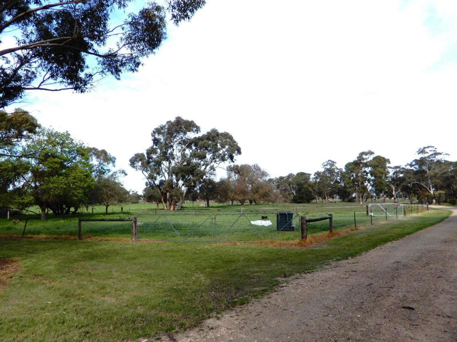 307 Emu Springs Road, Tintinara For Sale by Farmbuy.com - image 3