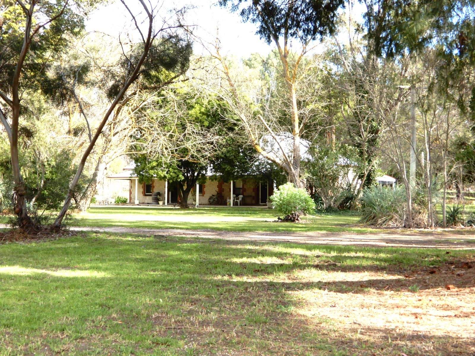 307 Emu Springs Road, Tintinara For Sale by Farmbuy.com - image 13