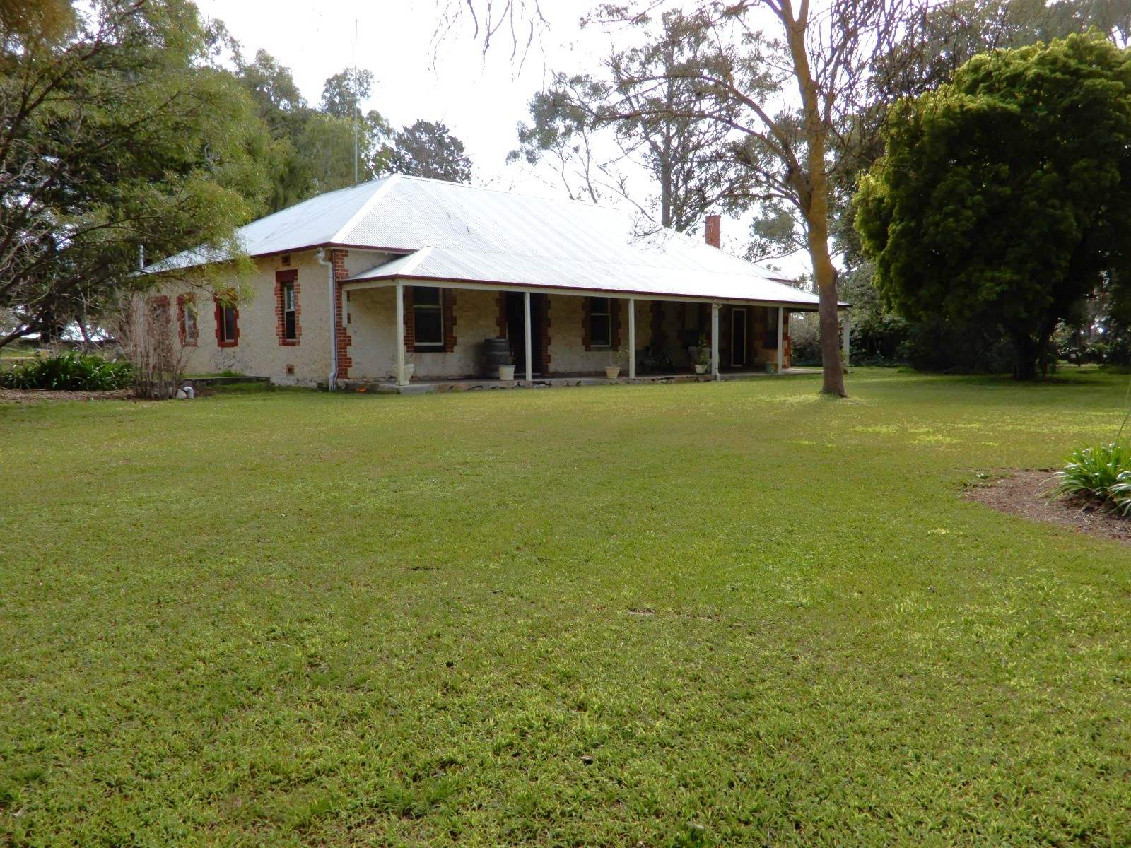 307 Emu Springs Road, Tintinara For Sale by Farmbuy.com - image 7
