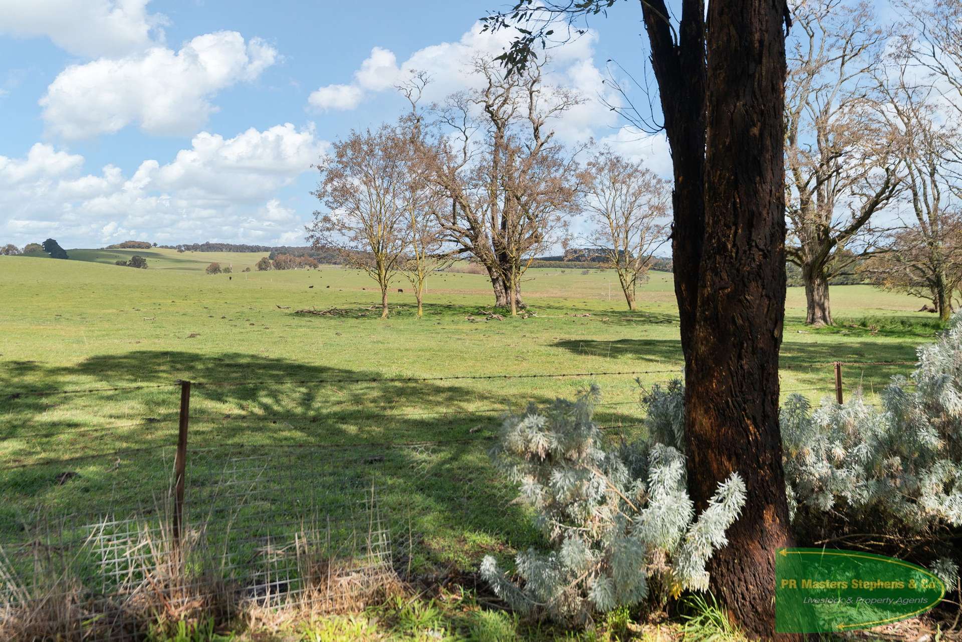 1445 HOBBYS YARDS RD HOBBYS YARDS, Bathurst For Sale by Farmbuy.com - image 19