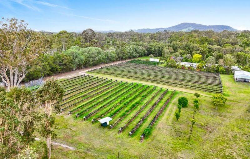 197 Stephan Road, Goomboorian For Sale by Farmbuy.com - image 4