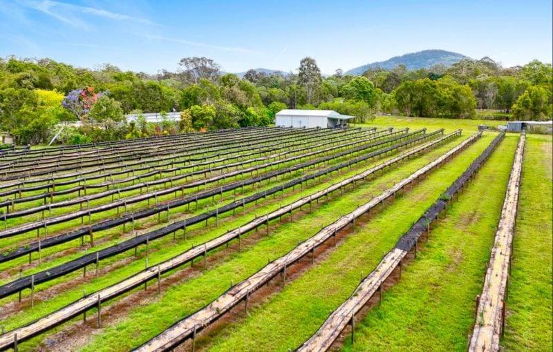 197 Stephan Road, Goomboorian For Sale by Farmbuy.com - image 5