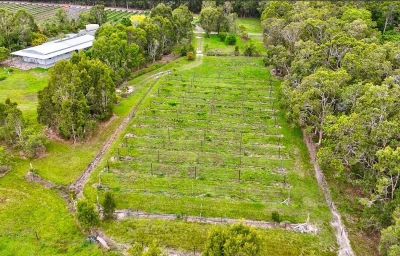 197 Stephan Road, Goomboorian For Sale by Farmbuy.com - image 30