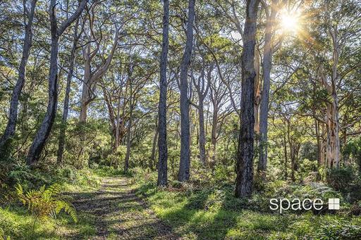 Farm For Sale - WA - Hamelin Bay - 6288 - Boranup Forest 
