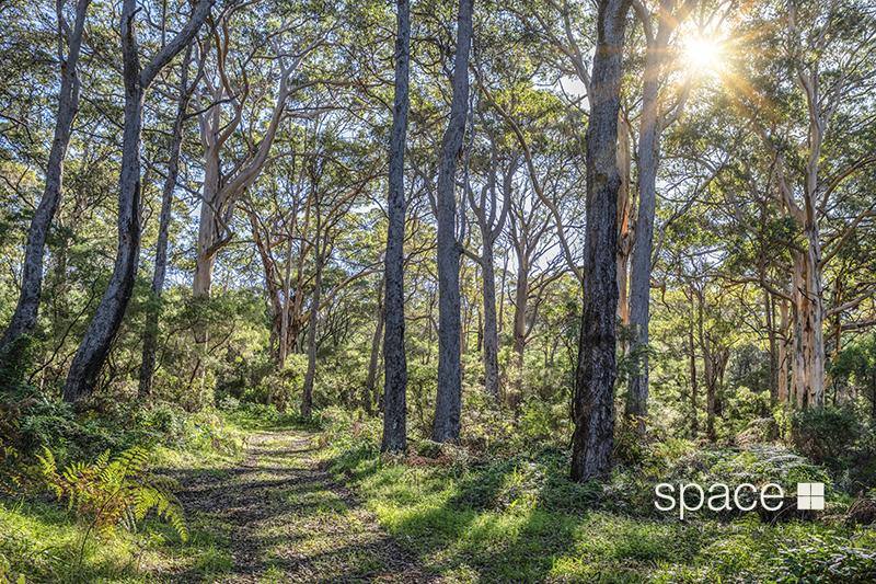 9562 Caves Road, Hamelin Bay For Sale by Farmbuy.com - image 1