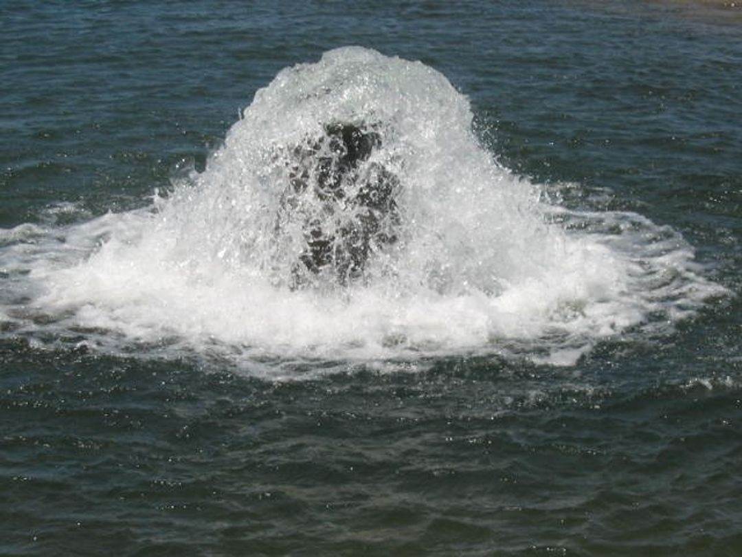 EASTERN RECHARGE GROUNDWATER, Moree Auction by Farmbuy.com - image 1