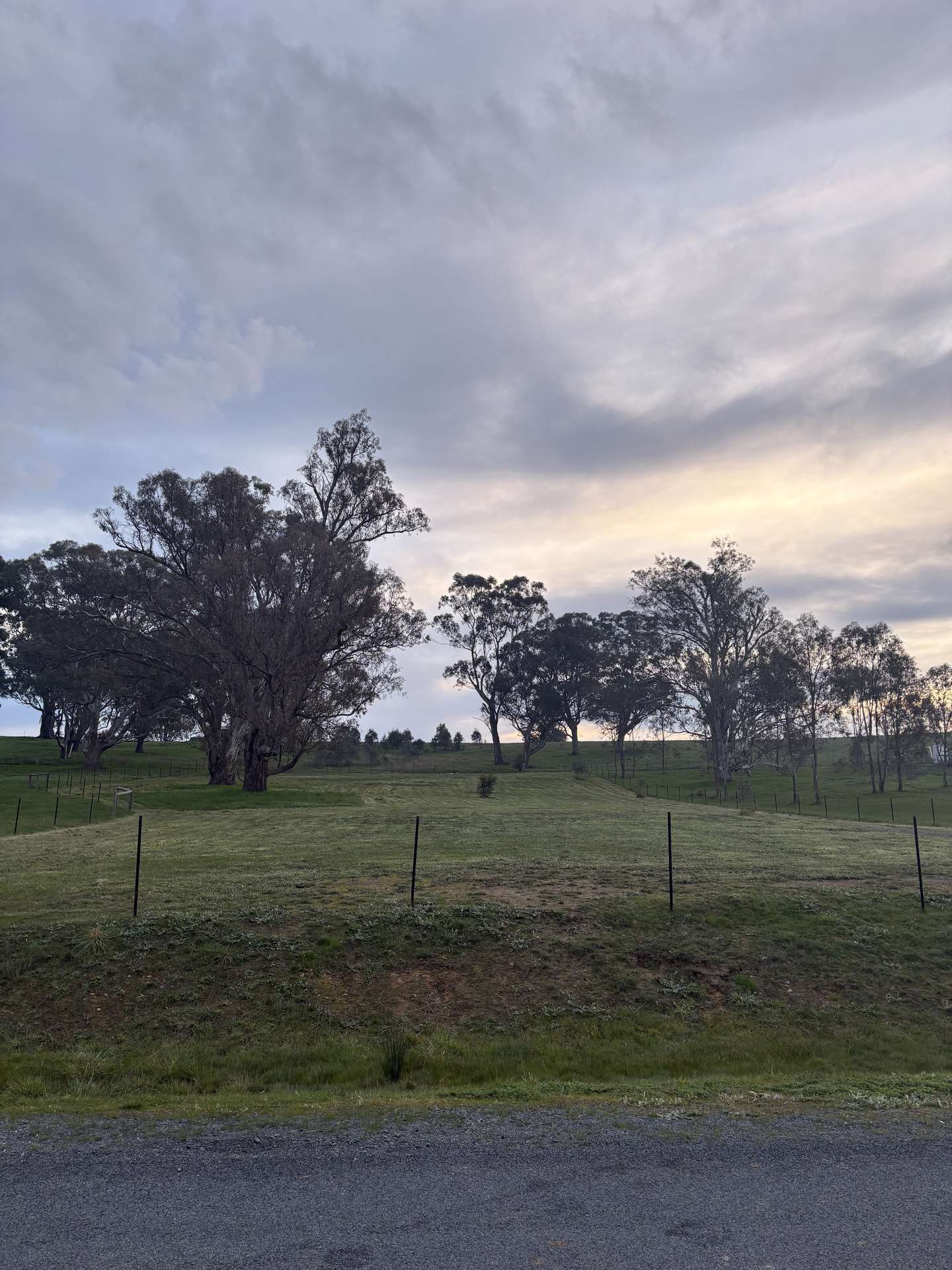 23 Bainbridge Way, Alexandra For Sale by Farmbuy.com - image 4