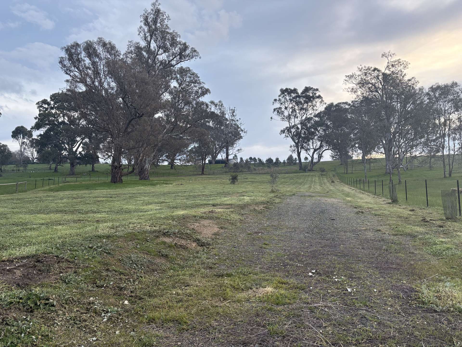 23 Bainbridge Way, Alexandra For Sale by Farmbuy.com - image 3