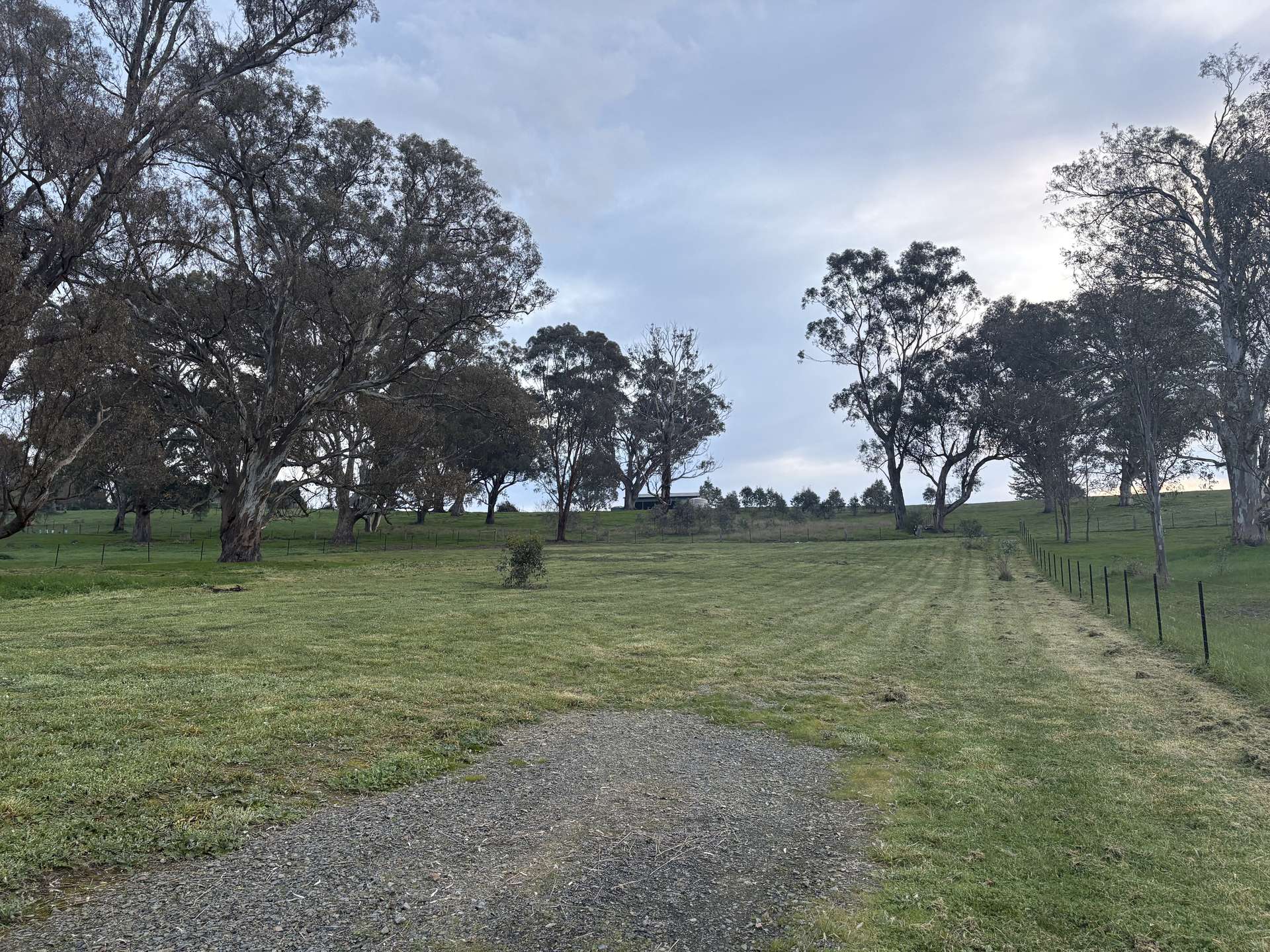 23 Bainbridge Way, Alexandra For Sale by Farmbuy.com - image 6