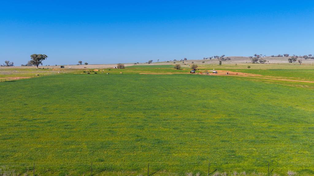 387 Soldiers Settlement Road, Tamworth NSW 2340