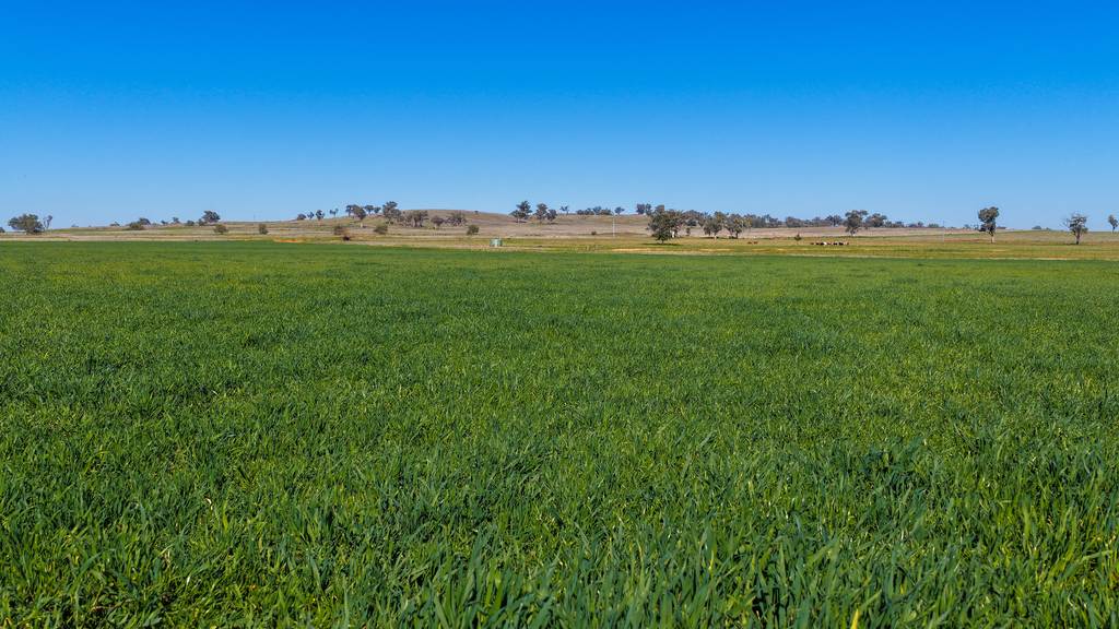 387 Soldiers Settlement Road, Tamworth NSW 2340