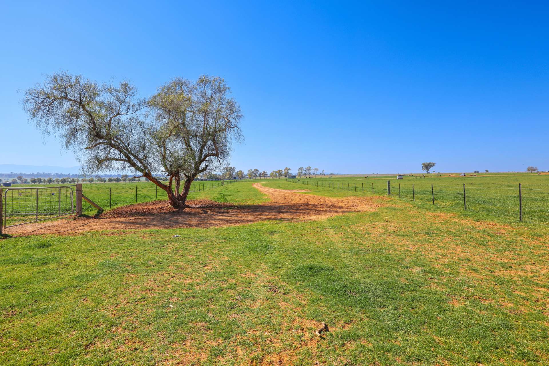 387 Soldiers Settlement Road, Tamworth Auction by Farmbuy.com - image 23