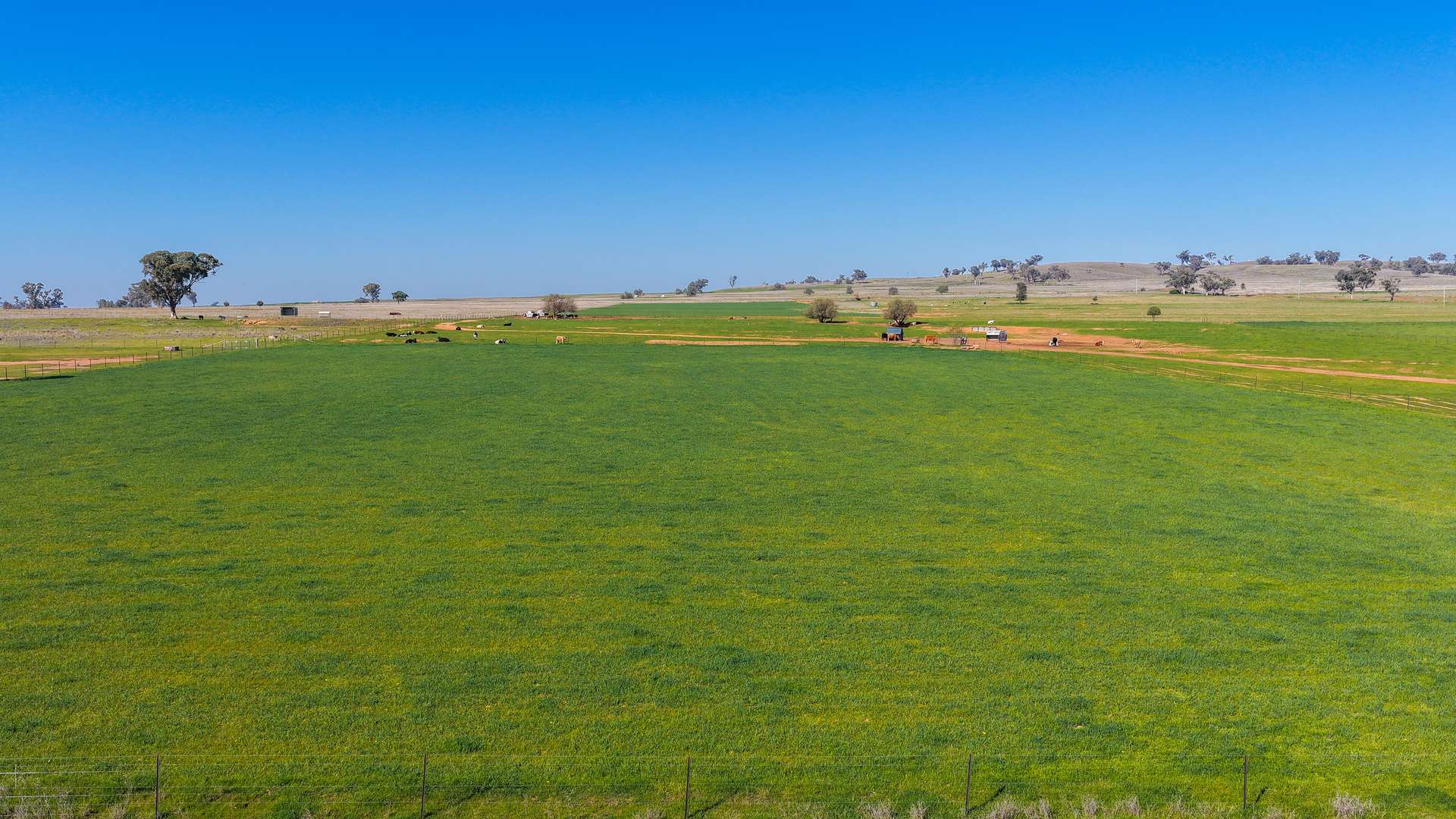 387 Soldiers Settlement Road, Tamworth Auction by Farmbuy.com - image 1
