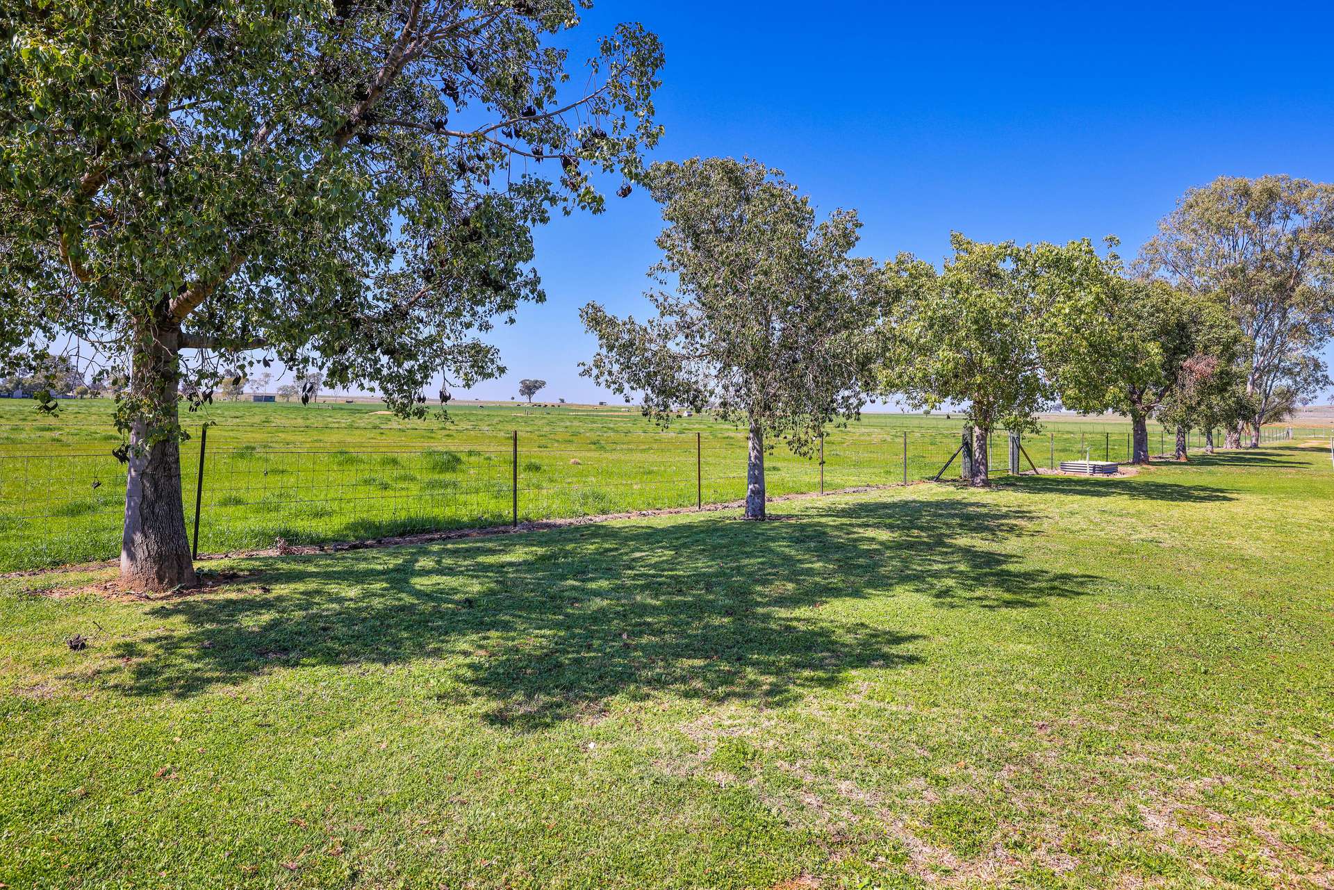 387 Soldiers Settlement Road, Tamworth Auction by Farmbuy.com - image 18