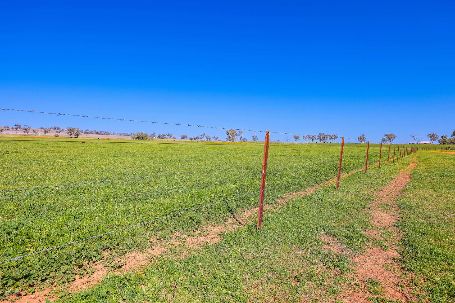 387 Soldiers Settlement Road, Tamworth Auction by Farmbuy.com - image 20