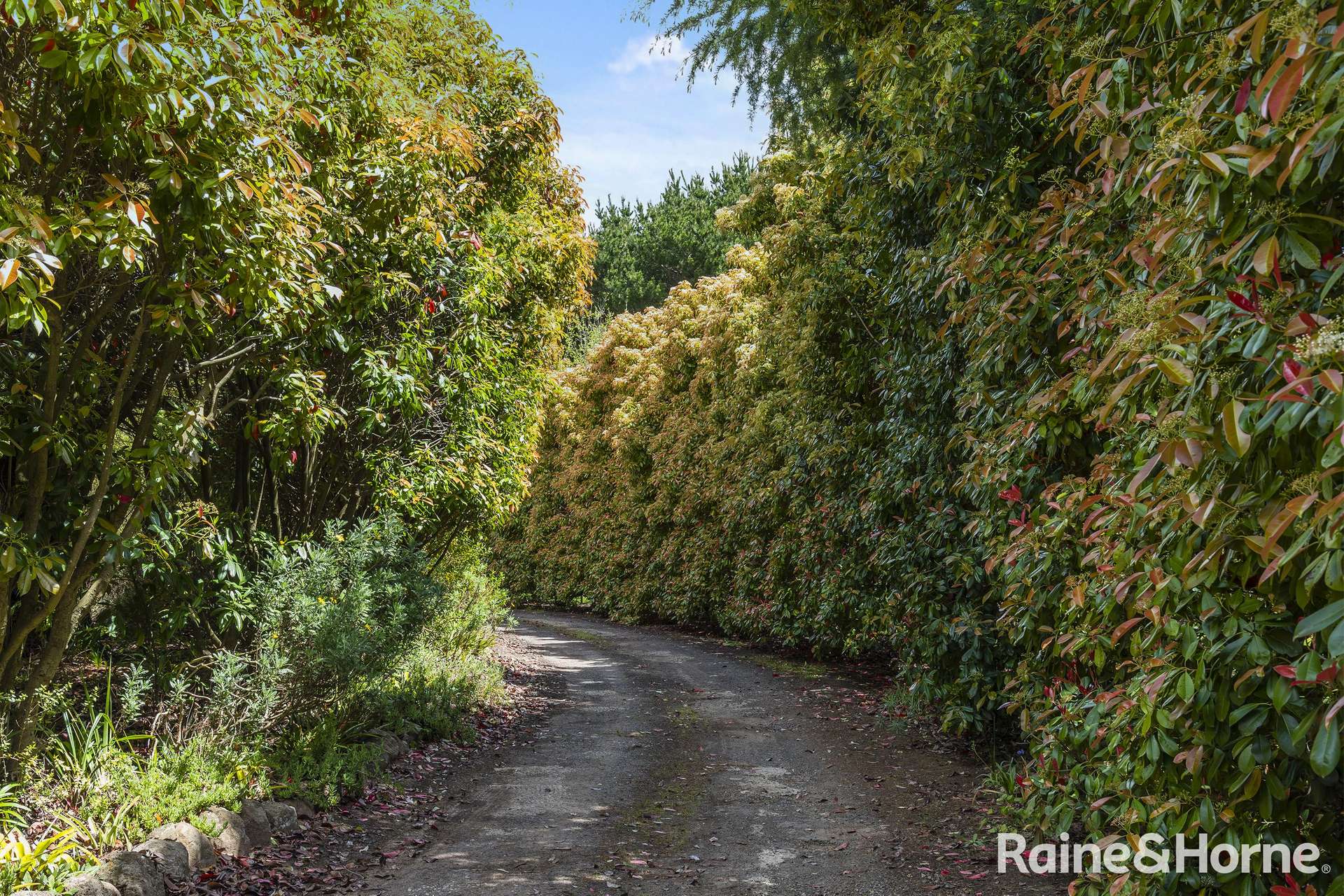 545 Kyneton Springhill Road, Kyneton South For Sale by Farmbuy.com - image 7