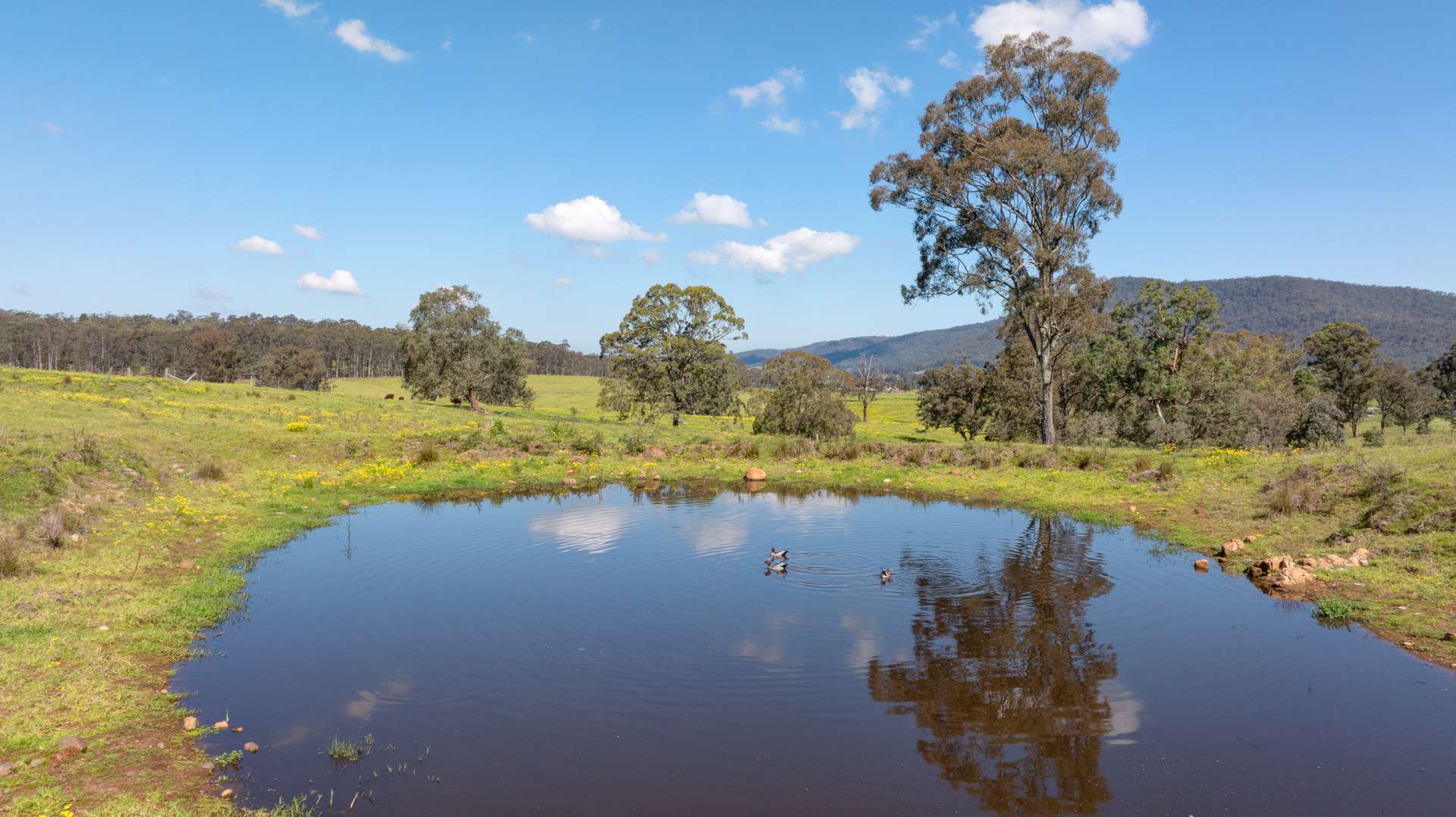 127 Horns Crossing Road, Vacy For Sale by Farmbuy.com - image 10