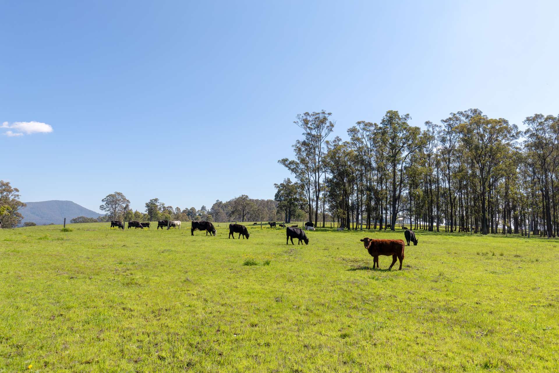 127 Horns Crossing Road, Vacy For Sale by Farmbuy.com - image 12