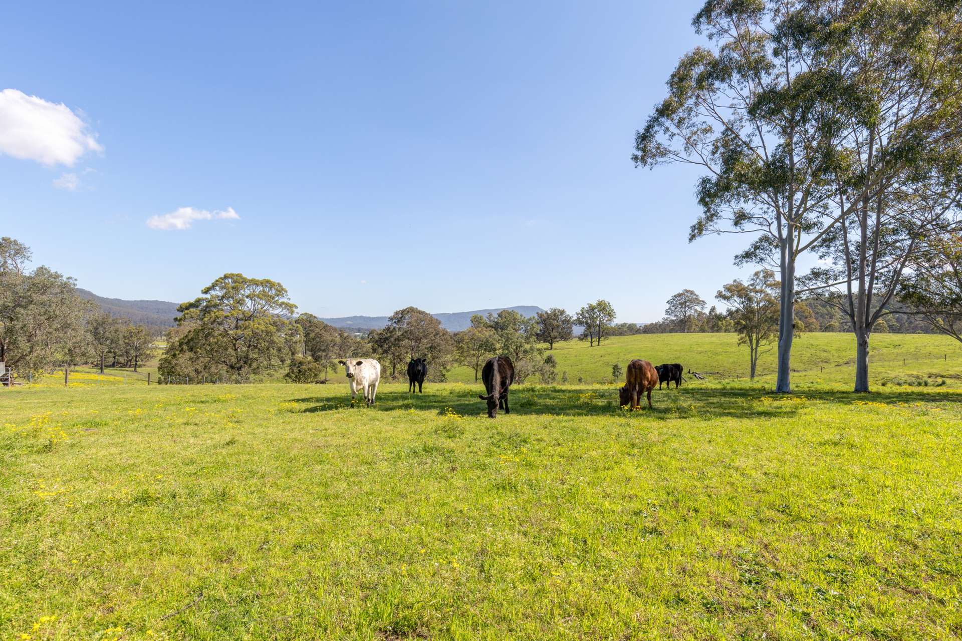 127 Horns Crossing Road, Vacy For Sale by Farmbuy.com - image 33