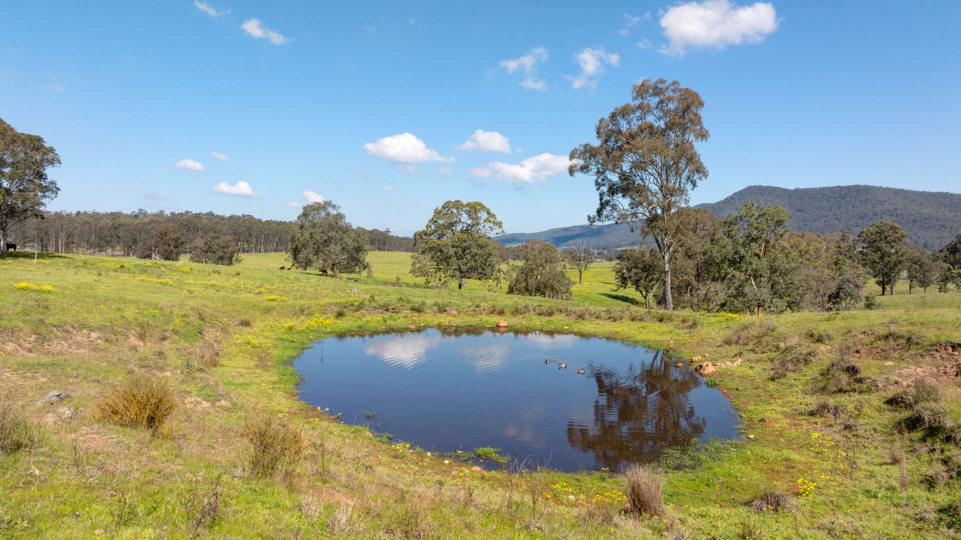 127 Horns Crossing Road, Vacy For Sale by Farmbuy.com - image 9