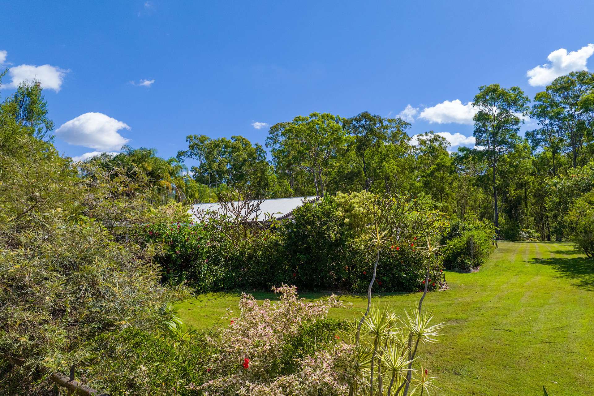 297 Wards Road, Glenwood For Sale by Farmbuy.com - image 27