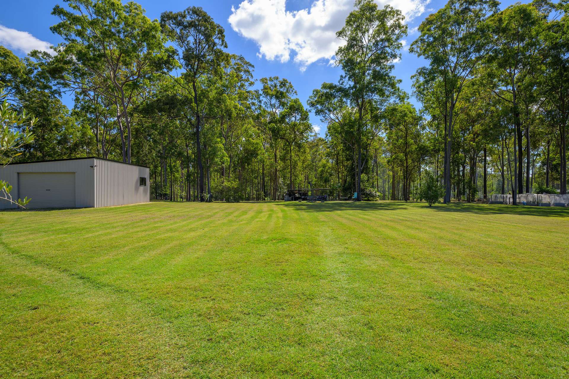 297 Wards Road, Glenwood For Sale by Farmbuy.com - image 29