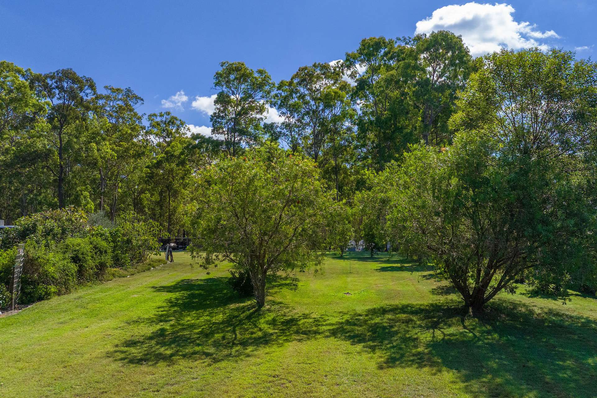 297 Wards Road, Glenwood For Sale by Farmbuy.com - image 8