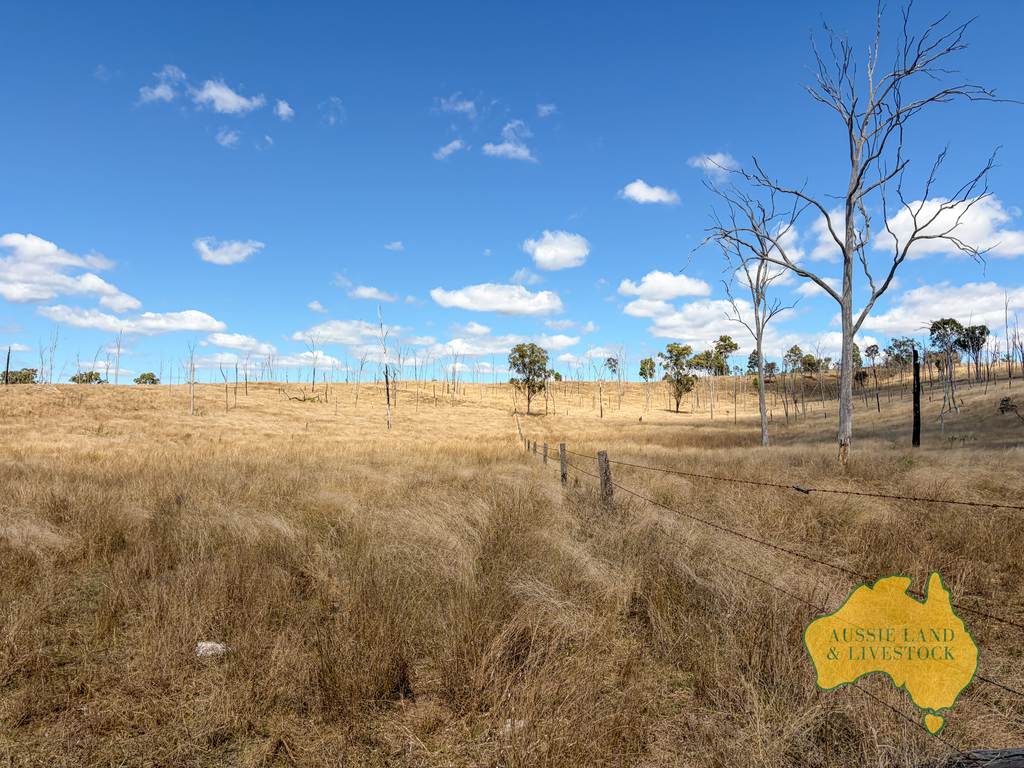 Branch Creek QLD 4625