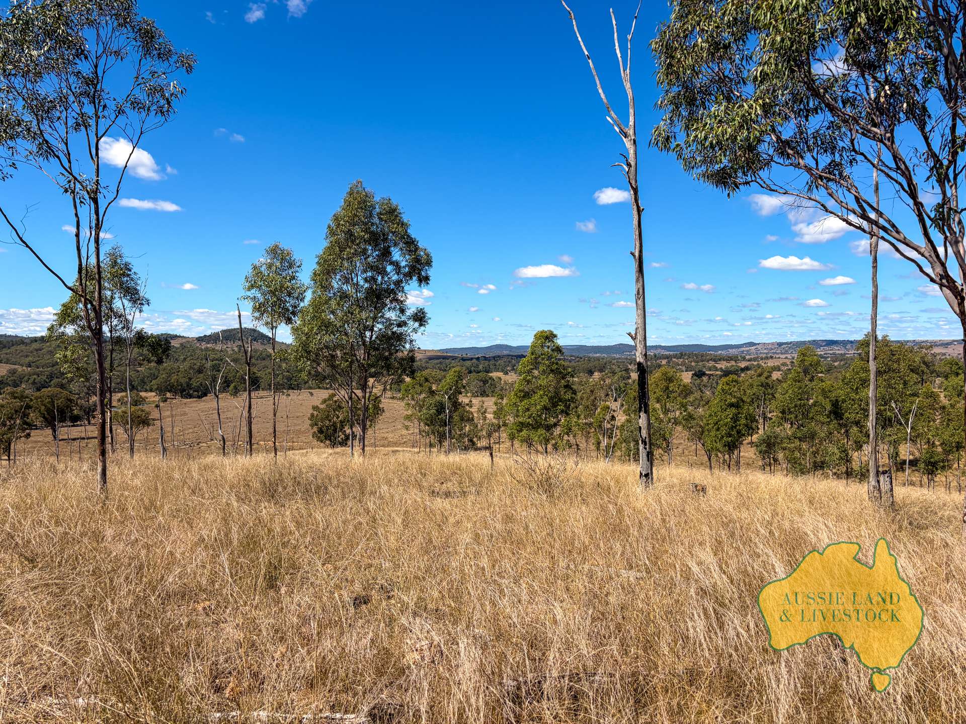 Branch Creek For Sale by Farmbuy.com - image 19