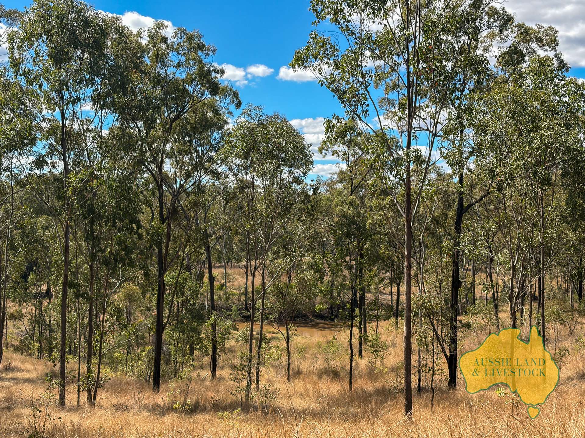 Branch Creek For Sale by Farmbuy.com - image 35
