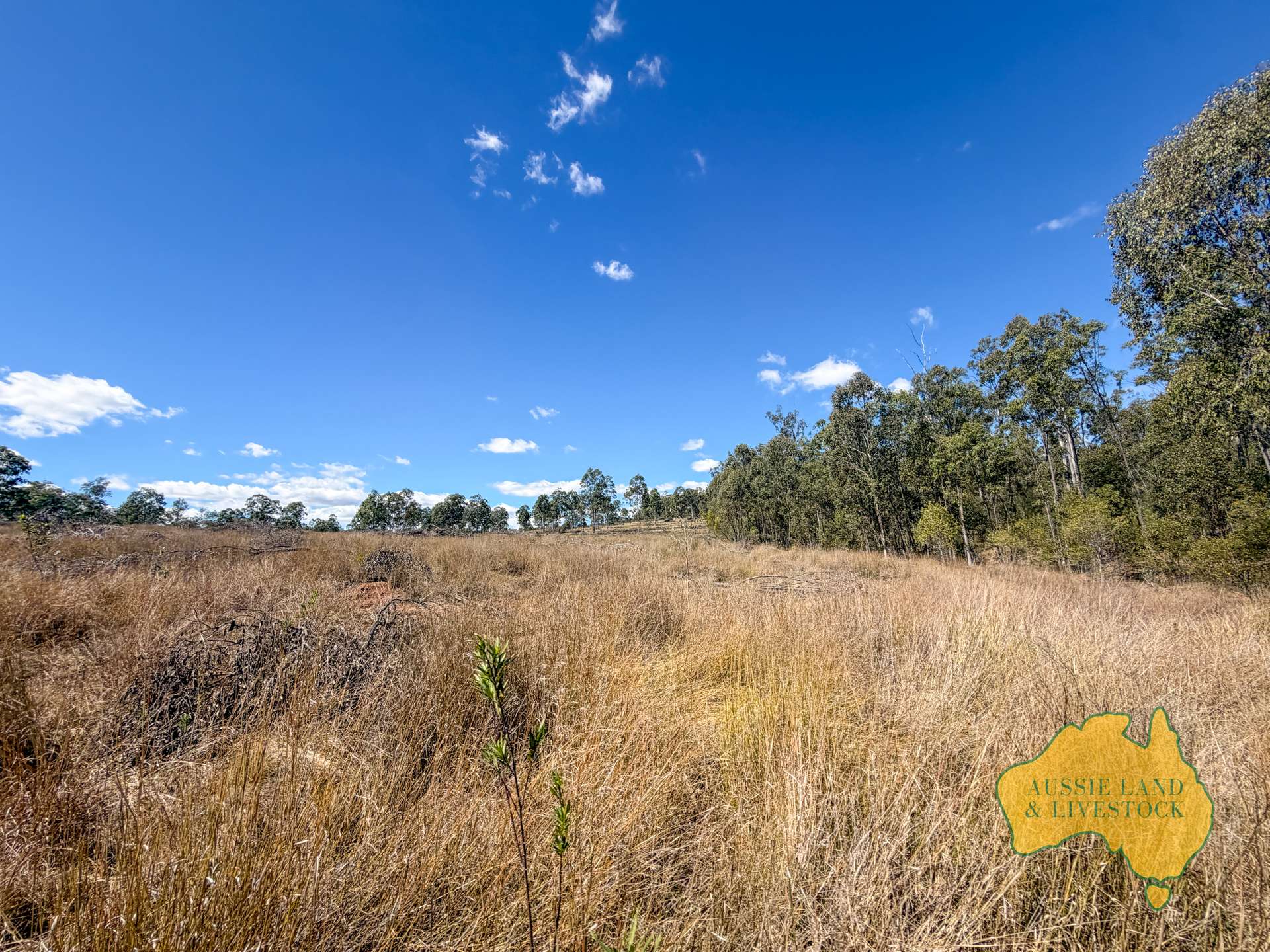 Branch Creek For Sale by Farmbuy.com - image 29
